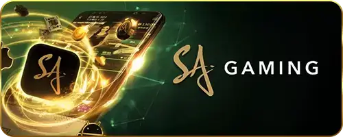 บาคาร่า (177)